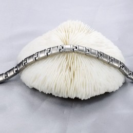 Pulseira De Titânio Lodestone Completa Em Especificações De Saúde