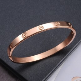 Pulseira De Titânio Com Parafuso Feminino De Grande Variedade