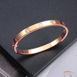 Pulseira De Titânio Com Parafuso Feminino De Qualidade E Quantidade Garantidas