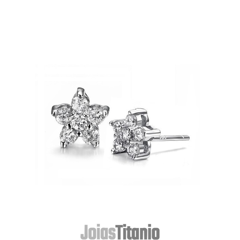 Brincos De Titânio Banhados A Platina, Antialérgicos E De Alta Qualidade, Com Diamantes, Conhecidos Por Sua Alta Qualidade Brincos De Titânio Banhados A Platina, Antialérgicos E De Alta Qualidade, Com Diamantes, Conhecidos Por Sua Alta Qualidade