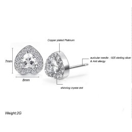 Para Desfrutar De Alta Reputação Em Casa E No Exterior, Brincos Femininos De Titânio Com Revestimento De Platina E Diamante