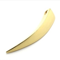 Pingente De Dente De Lobo Em Titânio Dourado